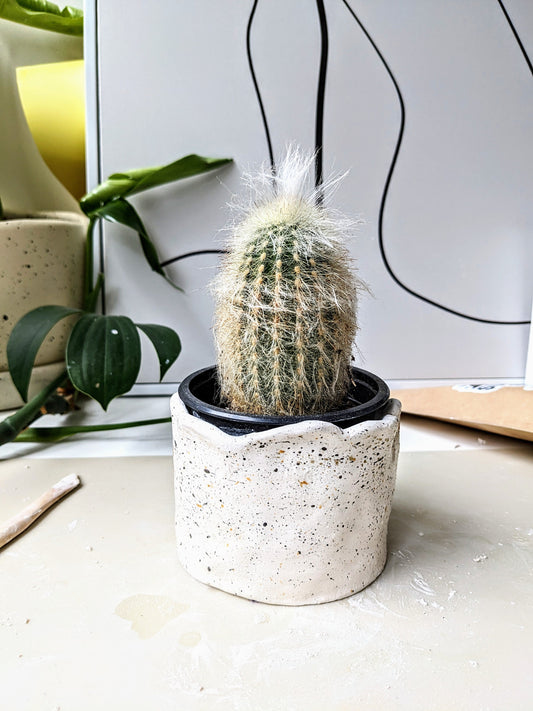 How to Create a Speckled Effect on Air Dry Clay - Sunday&Clay