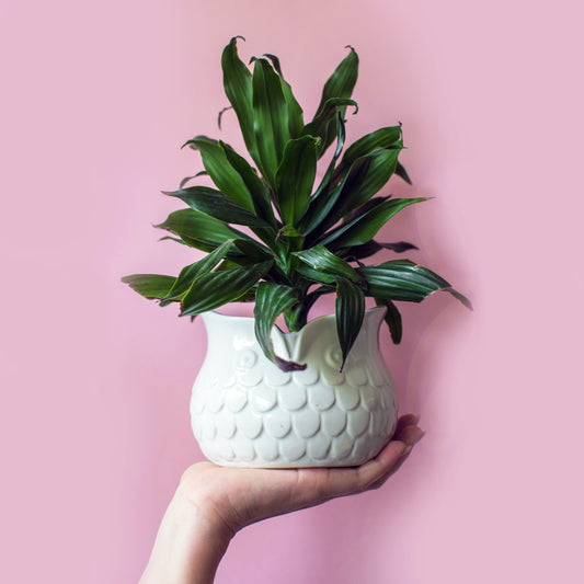 How to Make an Air Dry Clay Planter Pot - Sunday&Clay